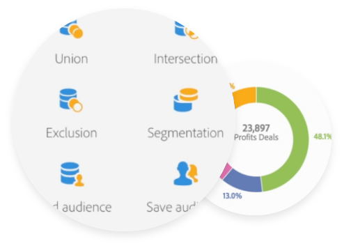 summarize and segment all customer data